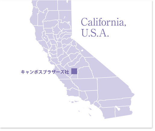 アーモンドの産地、カリフォルニア